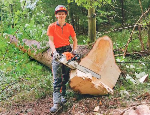 Städti­sches Forst­amt ist wieder Ausbil­dungs­stel­le — Freude an handwerk­li­cher Arbeit im Freien