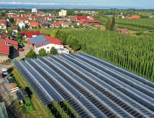 Bisher keine verein­fach­te Geneh­mi­gung für Agri-Photovoltaik