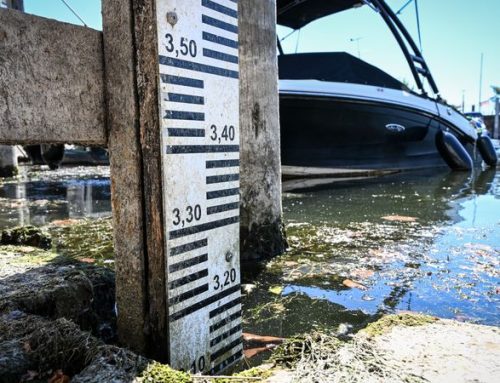 Boden­see mit gerin­gem Wasser­stand: Schif­fe ausgebremst