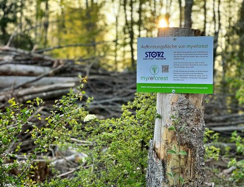 KARL STORZ pflanzt 450 Bäume in der Nähe von Blumberg zur Reduzie­rung von CO2